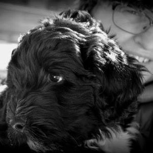 Meet your Posher, Marg